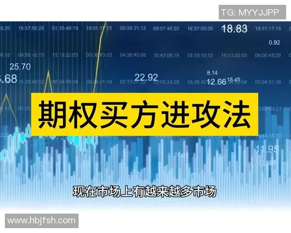 探讨FPX战术体系中的区域防守策略与实战应用分析实时新闻 探讨FPX战术体系中的区域防守策略与实战应用分析实时新闻